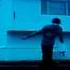 Spread Your Wings And Learn To Fly