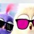 Цыпленок Пи Angry Birds
