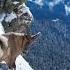 Markhor Climbing On Mountain Ibexhunting Markhor Africa Lions Animals Animalplanet