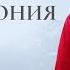 Космогония 14 Живой разбор Сатья Ео Тхан