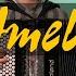 Yann Tiersen La Valse D Amelie Accordion Cover