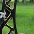 Nika 26CK03 Carbon Clicker For Recurve Bow Archers Archery Elongoutdoor Elongarrow Nikaarchery
