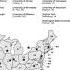 What Can Canine Lymphomas Teach Us About The Treatment Of Human Lymphomas