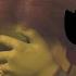 Timon And Pumbaa Interrupt 3 Shrek II The Story Continues