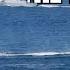Russia Begins Escort Of Shadow Fleet In The Baltic What Is The Parallel Fleet Cable Cutting