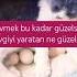 Sevmek Bu Kadar Güzelse Sevgiyi Yaratan Ne Güzeldir