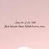Islamic Reels Islamicstatus Islamic Islamicquotes