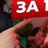 ЛЕГКО выучи ВСЕ ВРЕМЕНА в АНГЛИЙСКОМ за 11 минут ПРОСТЫМ языком с ПРИМЕРАМИ