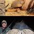 Hunting Dangerous Game Namibia Take Two