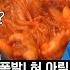 How Spicy Does Soyou Need It To Be To Be Satisfied Spicy Baby Octopus Mukbang With Woody