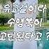 61kg의 노출없는 유교걸 수영복 체형커버 66사이즈