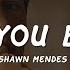 Shawn Mendes Treat You Better Lyrics