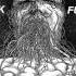 Vektor Black Future Official Audio