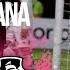 Lanus ARG Vs Vasco De Gama BRA Copa Sudamericana DESTACADOS 05 13 2025 BeIN SPORTS USA