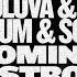 Korolova EYNKA Vs Signum Feat Scott Mac Coming On Strong Extended Mix