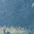Mission Impossible Puma Chases Deer Special Ending Wildlife Belize Animals Nature