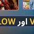 Google VEO 3 Explained With Demos In Urdu Hindi