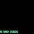 Nick Cave The Bad Seeds Skeleton Tree Official Audio