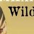Maxi Priest Wild World Orig Clean Instrumental HD Sound 2024