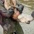 Amazing Big Grass Carp Fish Catching Shorts