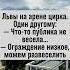 Львы в цирке готовы развеселить публику Ограждение ведь низкое цирк анекдот