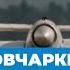 История овчарки по кличке Пальма