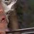 The Dragon Master Chinese Old Action Kung Fu Movie In English