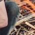 How To Start A Fire In A Survival Situation Basic Instincts WIRED
