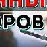 Какая должна быть компрессия на лодочном моторе