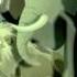 Geronimo Stilton All The Most Creepy Scenes NORWEGIAN