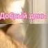 Cat кот мем подпишись музыка доброеутро доброгоутраихорошегодня