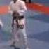 Roger Gracie Vs Xande Ribeiro World 2008