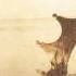 Casting Crowns American Dream