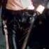 Michael Jackson Vs Bee Gees Billie Jean Vs Staying Alive