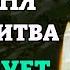 Сегодня ЭТА МОЛИТВА БОГОРОДИЦЕ ДЕЙСТВУЕТ СРАЗУ Молитва Богородице Трех Радостей Православие