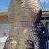 GIANT Gator Florida Gatorhunting Viral Viralshort Viralvideo Viralshorts Fyp Fypシ
