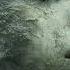 Oryn Etheria Ft EDM Flux In A Dream With You EDM Version