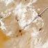 Recipe For Homemade Cream From Milk Cream For Cake