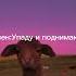 Знаки зодиака как строчки песен