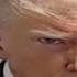 Donald Trump Gangsta S Paradise AI Cover
