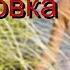 Аутогенная тренировка Что она тренирует Autogenous Training