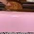 KETO TOAST RECIPE 3 MINUTE PREP YOU RE READY FOR THE DAY Shorts