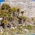 Top 5 Things To Do In Tulum What To Do In Tulum