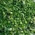 Sarson Saag Cutting Viralshorts