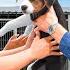 I Gave 100 Shelter Dogs New Homes