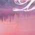 Hadith Sahih Al Bukhari Interpretation Of Dreams
