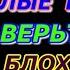 СВАРГА и ГФС Светлые цивилизации Не верьте дезинформации блогеров и кремлеботов