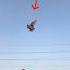 Kabutar Ki Video Shortsfeed Kabootar Tranding Shorts Kabutar Pigeon Kabootar Video