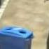 Recycling A Bottle Flashmob Style HQ