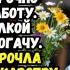 Тайна под белым халатом Время историй из жизни Жизненные истории